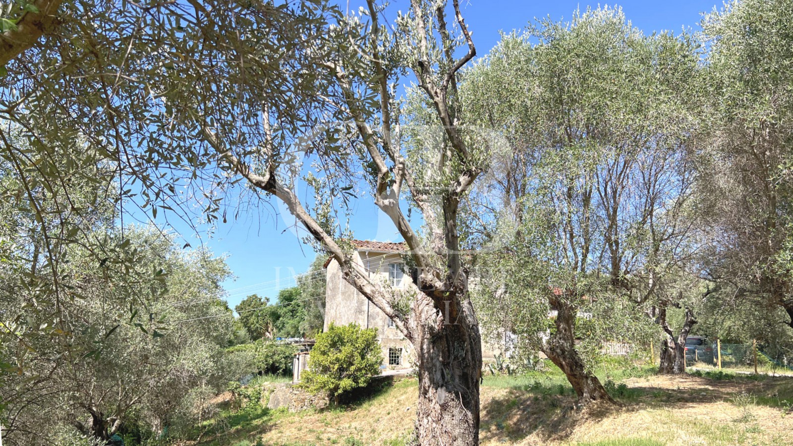 Pieve a Elici, Casale rustico con vista, immerso nel verde della collina.