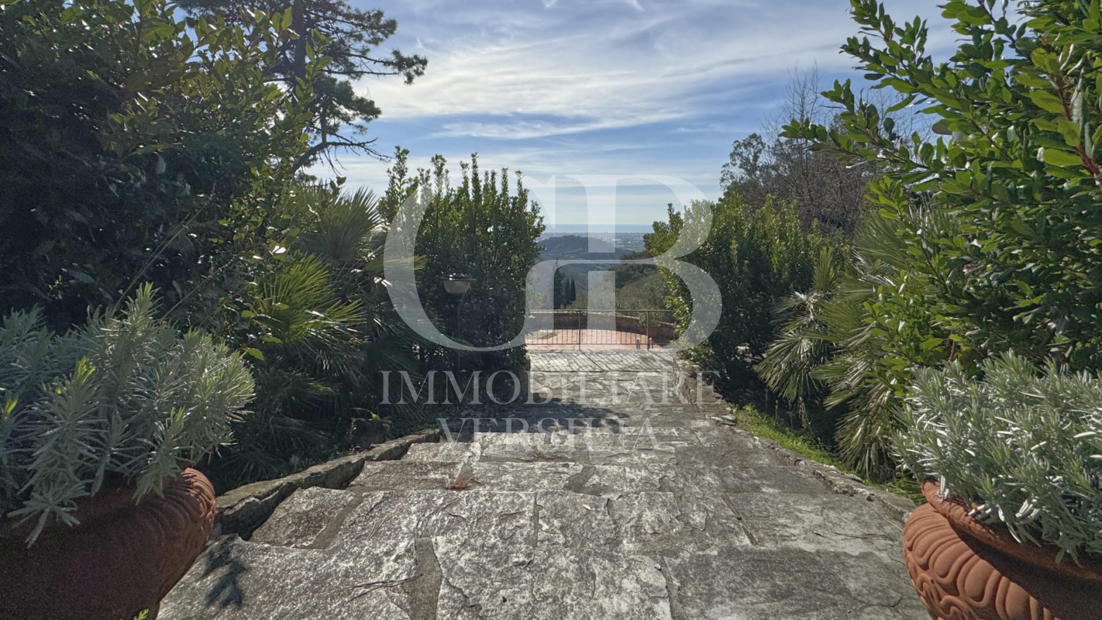 Monte Pitoro ( Massarosa ) incantevole Casa Vacanza con piscina ” Villa La Leccia” immersa nella splendida vegetazione Toscana.