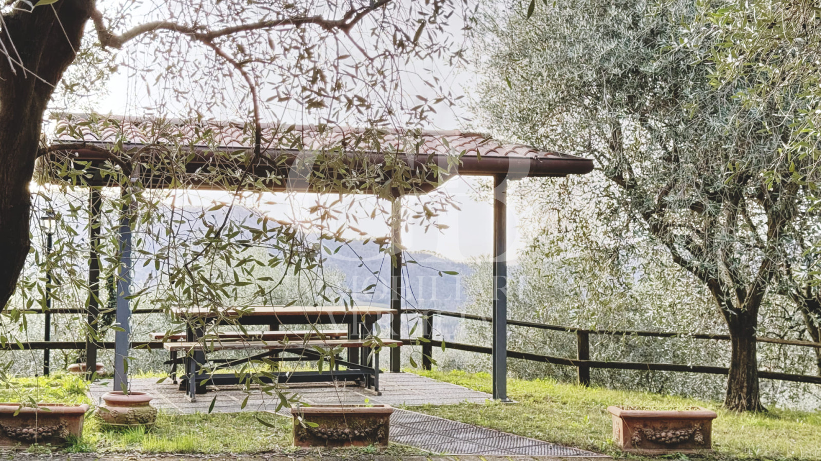 Camaiore, “Le Sorbe” sulle Colline di Camaiore: Relax e Atmosfera Incantevole.